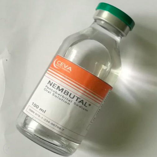 Nembutal Pentobarbital Sodium liquid